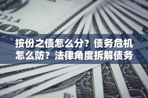 北京按份之债怎么分？债务危机怎么防？法律角度拆解债务分配与风险自保指南