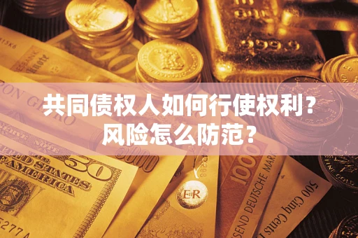 北京共同债权人如何行使权利？风险怎么防范？
