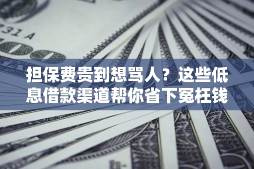 北京担保费贵到想骂人？这些低息借款渠道帮你省下冤枉钱